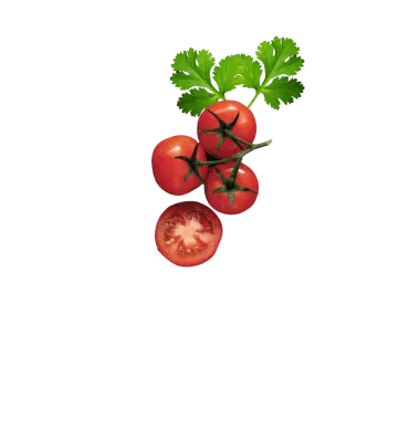 Tomate, frische Tomate, rote Tomate, grüne Tomate, Tomatenpflanze, Tomatenstück, Tomatenrezept, Tomatenanbau, gesunde Tomaten, Tomatenzubereitung