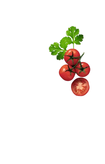 Tomate, frische Tomate, rote Tomate, grüne Tomate, Tomatenpflanze, Tomatenstück, Tomatenrezept, Tomatenanbau, gesunde Tomaten, Tomatenzubereitung